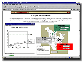 game interface