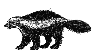 wolverine