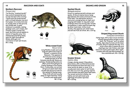 Mammals of Belize