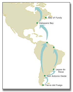 
Flyway Map
