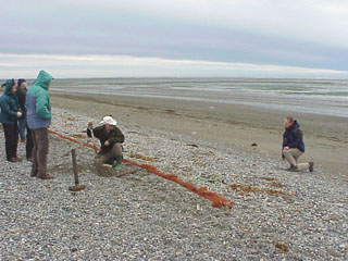 
Setting Net.
  