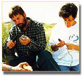 
Banding a shorebird.
