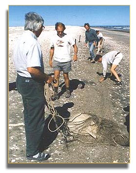 Setting up cannon net, Argentina