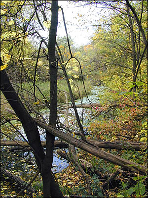 Don River Oxbow