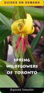Spring Wildflowers Guide