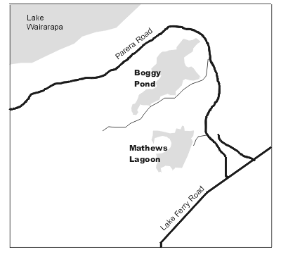 Boggy Pond map