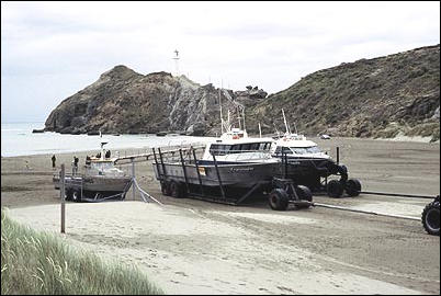 Castlepoint Fishing Boats