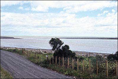 Lake Ferry