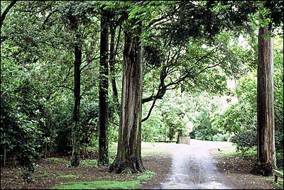 Greytown Park