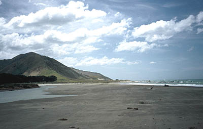 Whakataki Pub