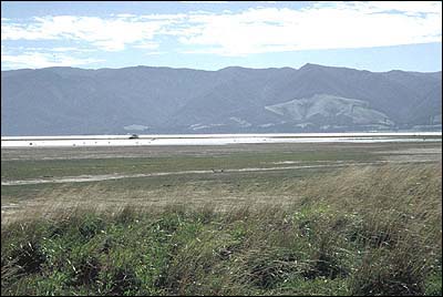 Oporua Floodway