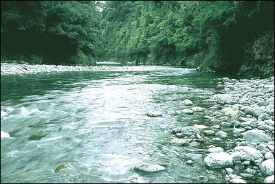 Waiohine Gorge